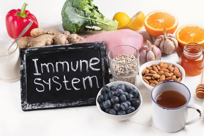 Top 12 Immune-Boosting Low Carb Foods